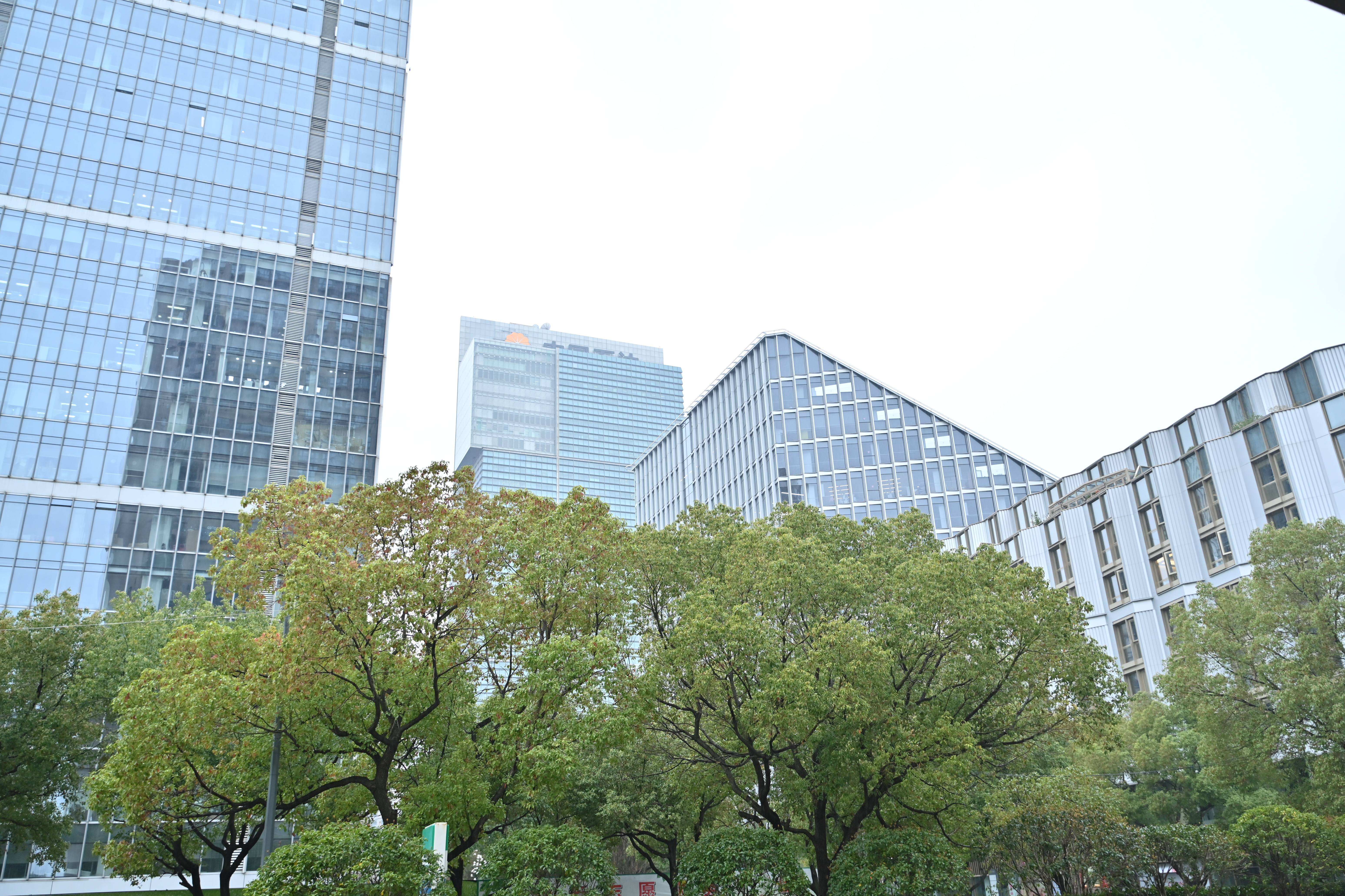 DSC_9136.JPG